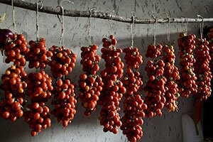 Italian Tomatoes, Certified Slavery Free